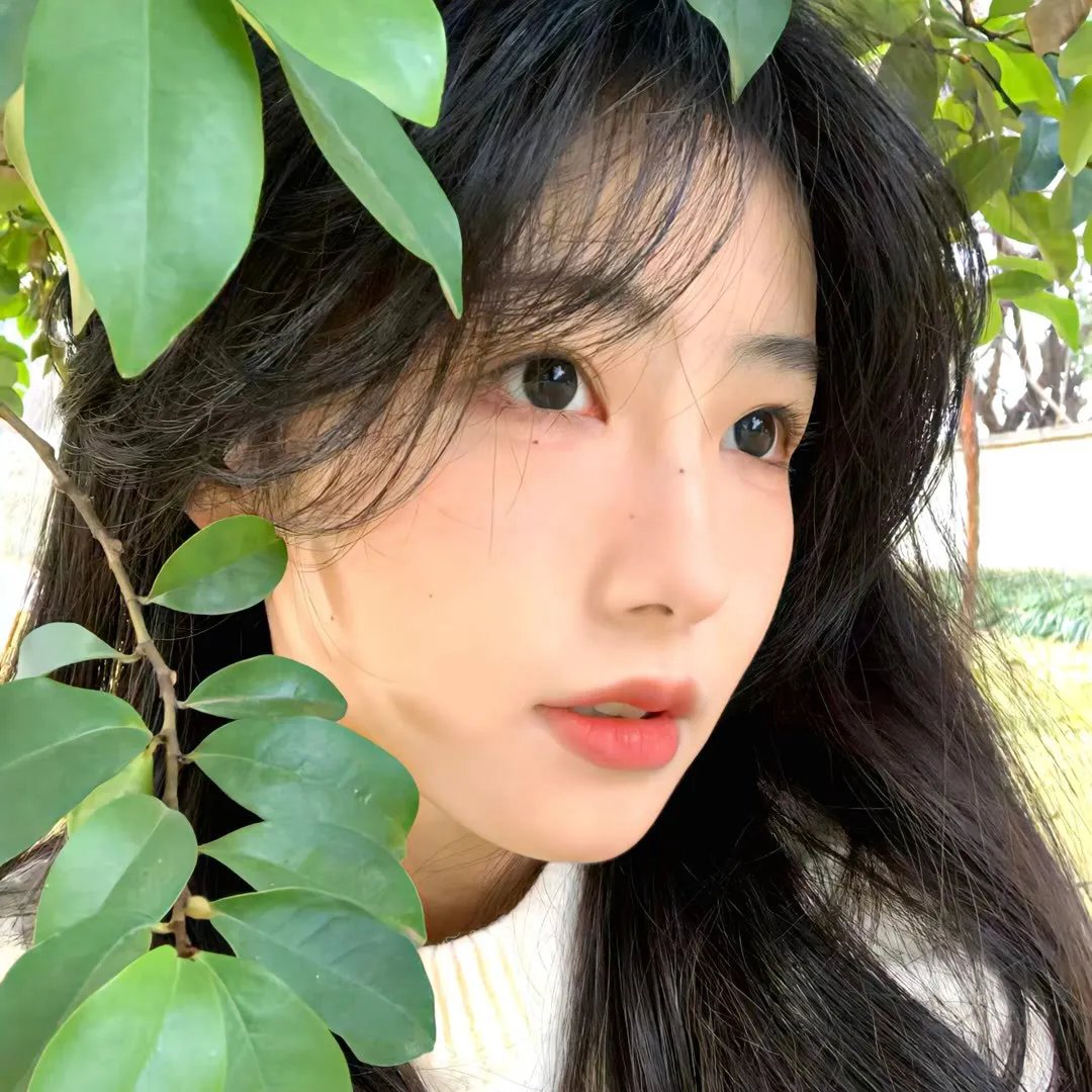 江户盗贼团五叶