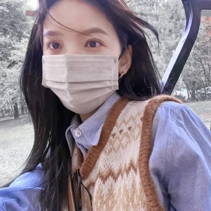 阿里安