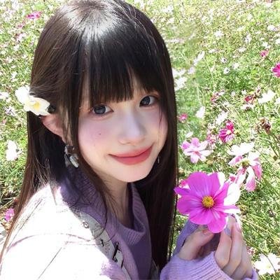苦菜花