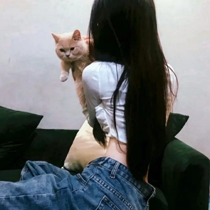 绢恋